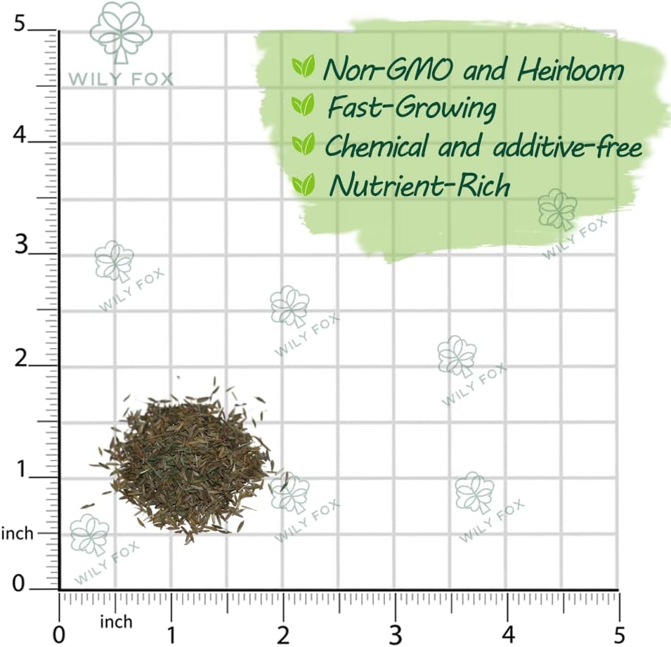 Premium Taraxacum Dandelion Seeds - 5000 Non-GMO Heirloom Purple-Stem Dandelion Seeds for Planting, Herbal Tea & Pollinators –Most Medicinal Variety (Taraxacum)