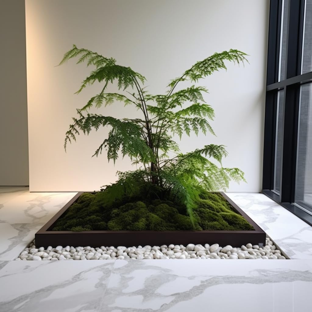 12 LBS River Rocks, StoneCreek, Decorative Garden Stones for Plant Landscaping, Polished Gravel Filler Pebbles for Home Decoration, Vases, Succulents, Flower Beds and Fish Tanks (White, Medium)