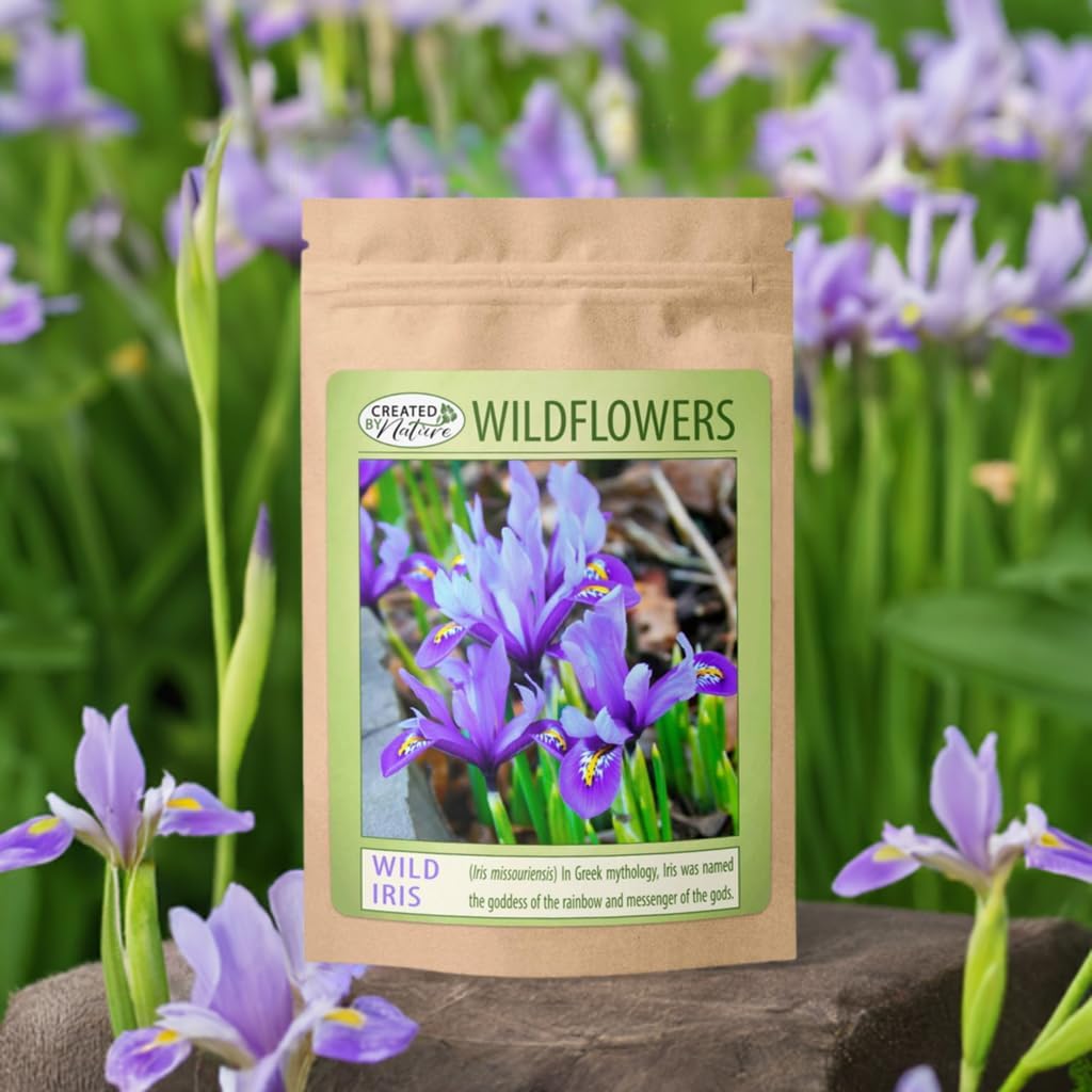 Wild Iris (Iris missouriensis) Seeds | 400+ Non-GMO Wildflower Seeds for Pollinators, Perennial Flowers for Meadows, Gardens