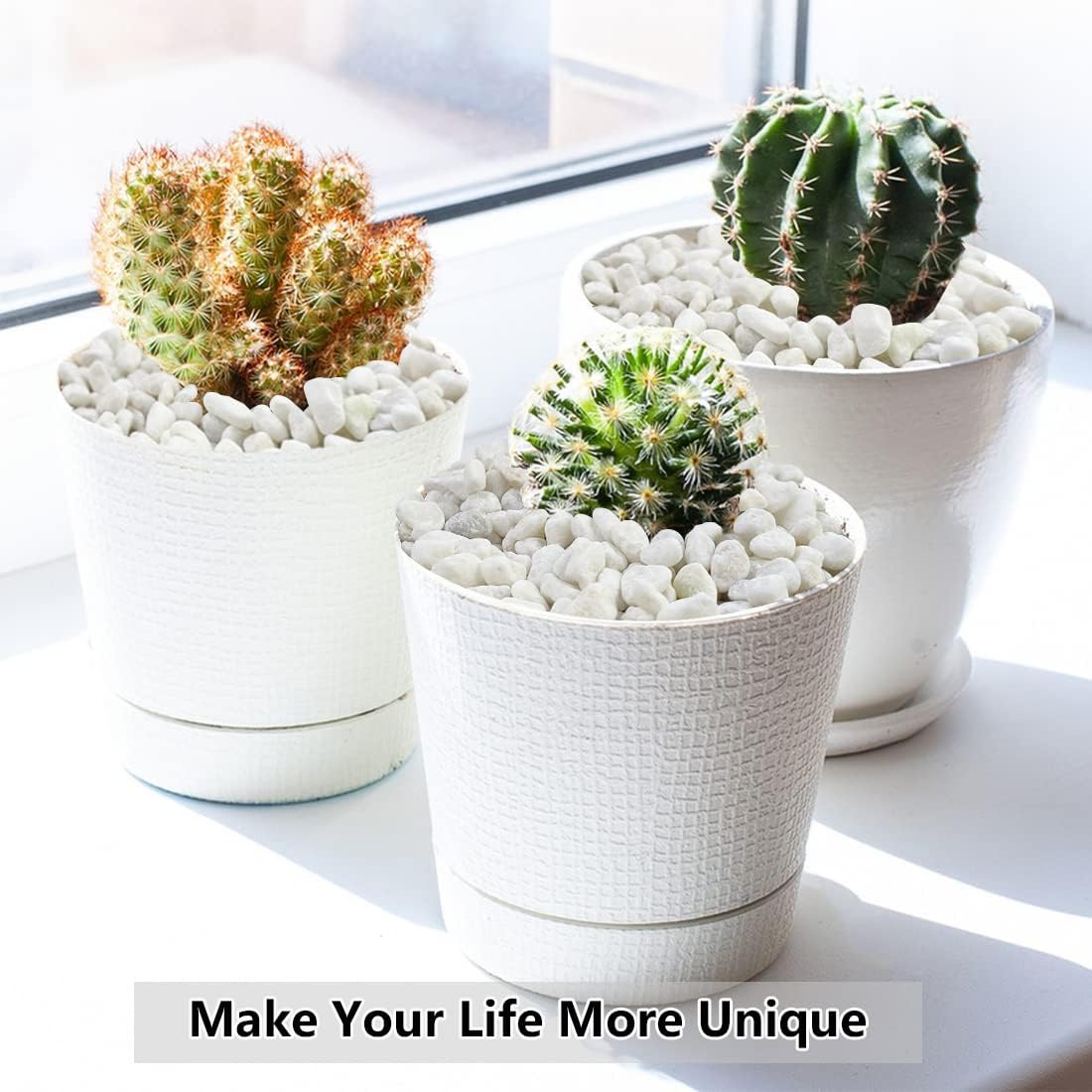 5LB Succulent and Cactus Gravel Pebbles, 1/5 Inch White Natural Decorative Polished Stones, River Rocks for Plants, Vases, Aquariums, Terrarium and Outdoor Gardening