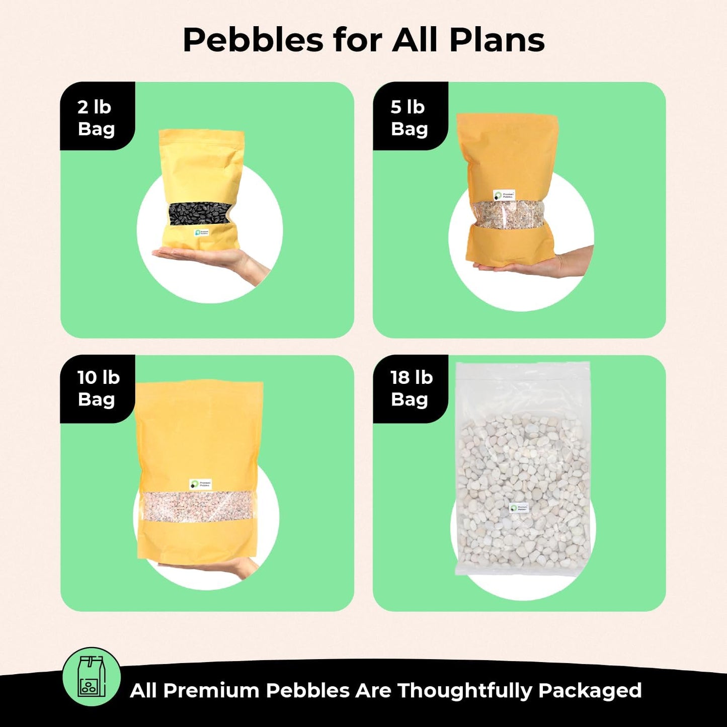 White Rocks for Plants. White Decorative Polished Pebbles. 3/8 Inch – 10lbs for Plants,Garden, Landscaping, Succulents, pots, Plants (XSM (0.375 Inch), White - Lightly Polished, 10)