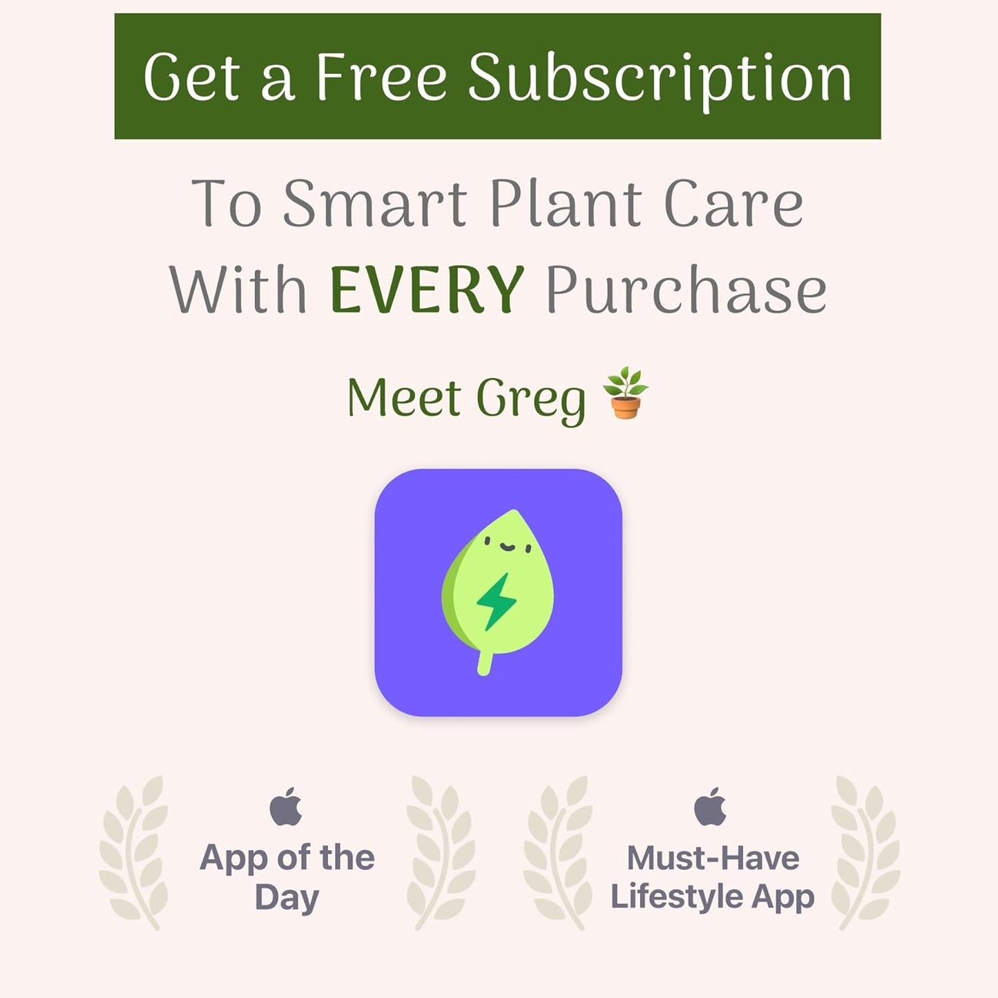 American Plant Exchange Asiatic Jasmine Minima – 6-Inch with Pot – Live Evergreen Groundcover Plant, Low Maintenance Greenery for Home, Garden Beds, or Landscape Borders