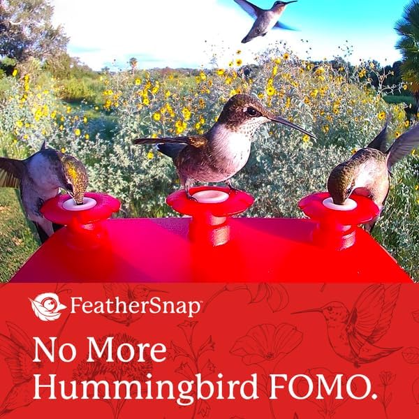 Smart Hummingbird Feeder