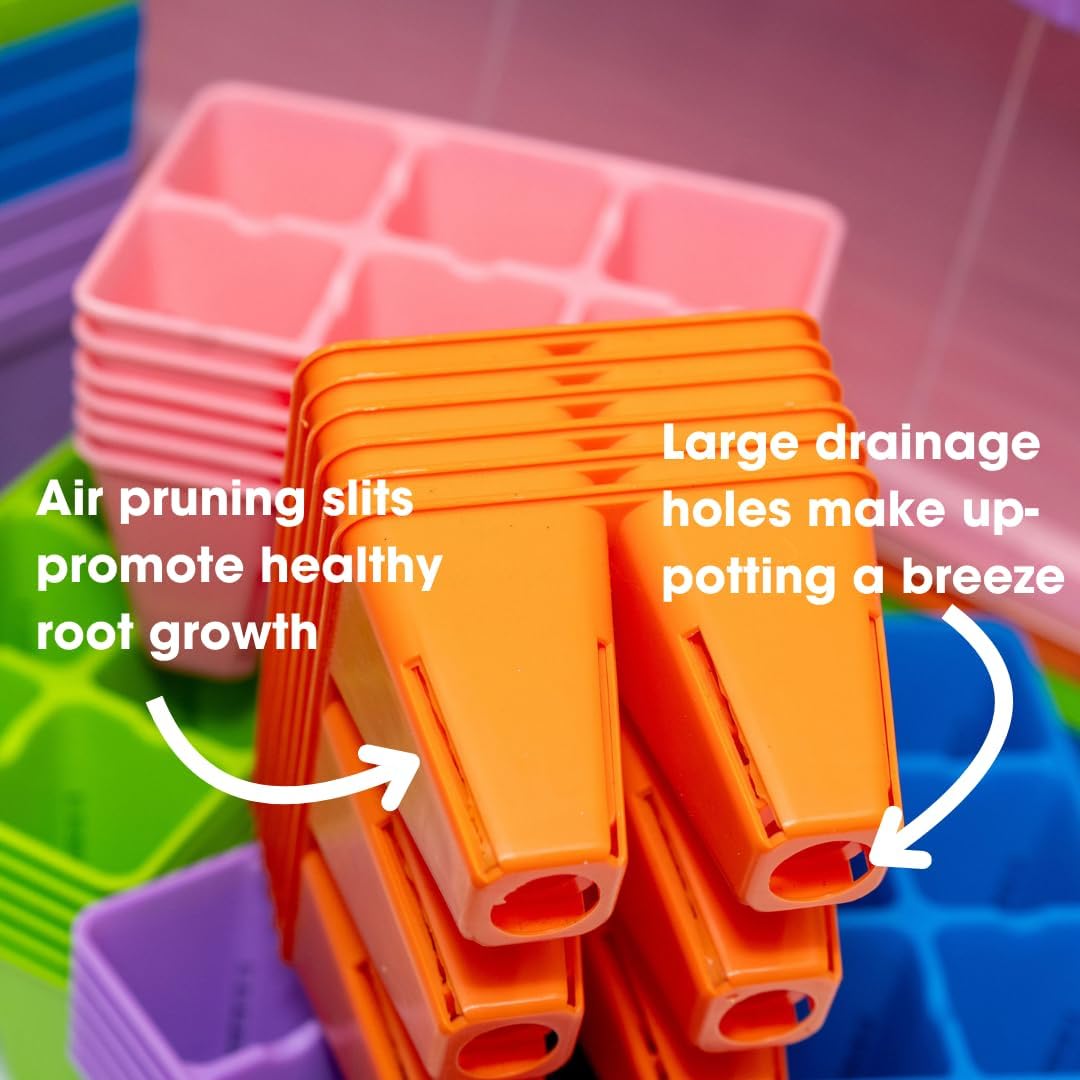 Bootstrap Farmer Ultimate Seed Starter Kit in Black with Humidity Domes for Indoor Seed Starting, Propagating, Germinating