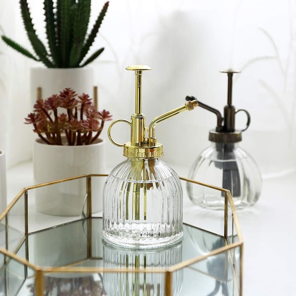 Glass Plant Mister Spray Bottle, Vintage Plant Water Spritzer, Succulent Watering Bottle with Gold Top Pump, Decorative Glass Sprayer Mister Small Watering Can for Indoor Houseplant - Clear