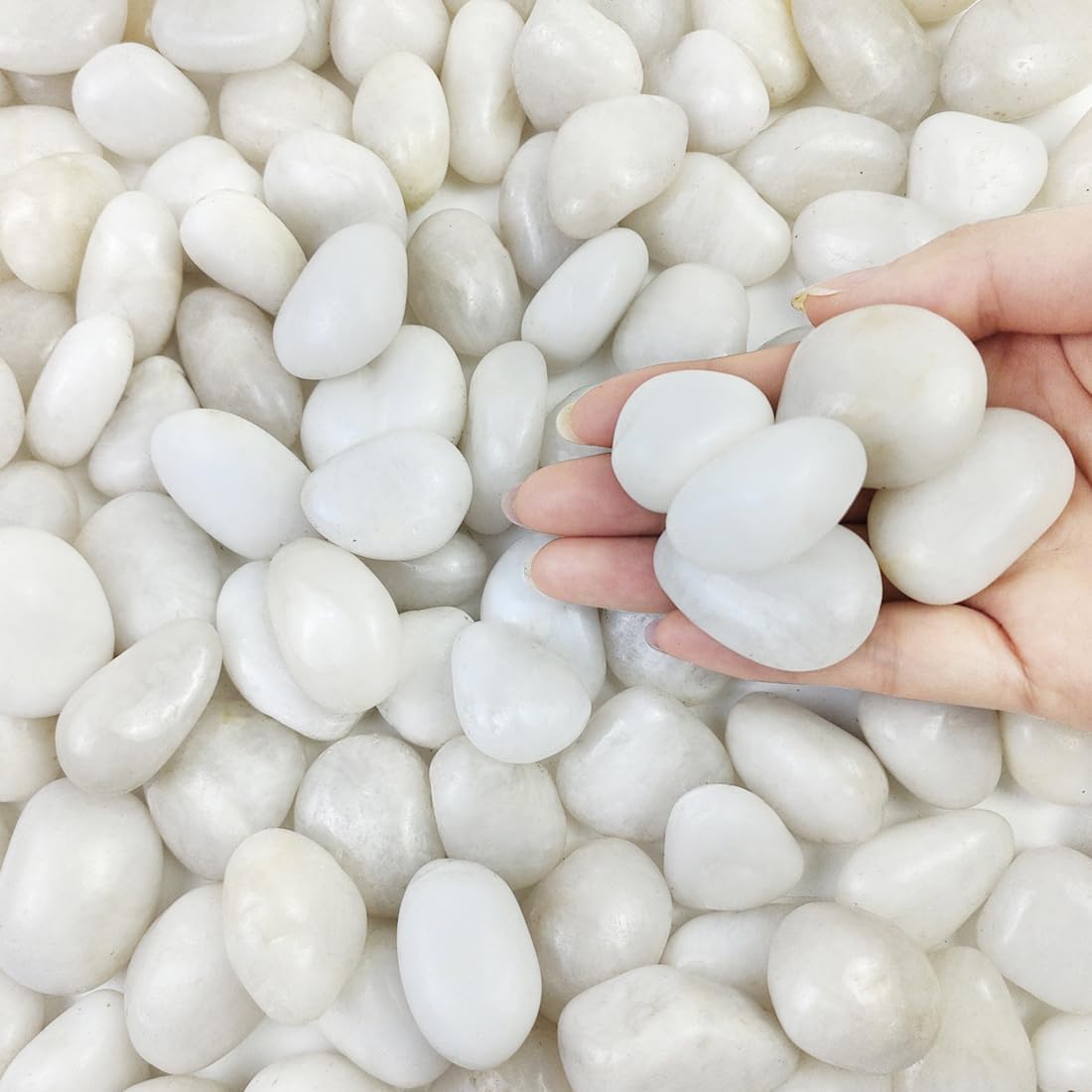 5lbs White Pebbles for Indoor Plants, 0.8-1.2 Inch Smooth White River Rocks for Potted Plants, Decorative Polished Stones for Landscaping Vase Fish Tank and Outdoor Garden Pavers