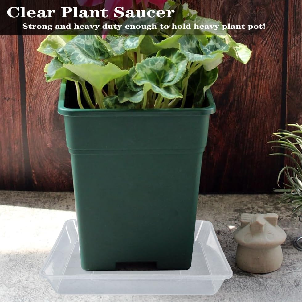 Square Plant Saucer 12 Inch 2 Pack, Thick Clear Plastic Flower Plant Pot Saucer, Square Planters for Indoors and Outdoors Plants, Garden Plant Saucers for Pots Plant Trays.