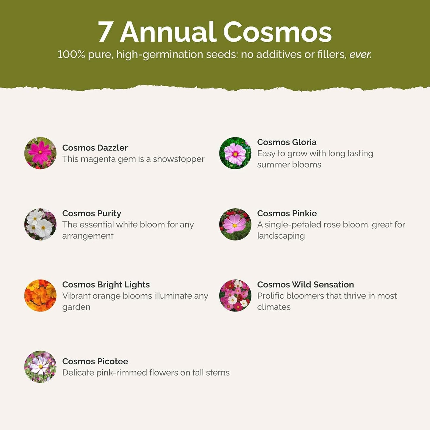 Eden Brothers Crazy for Cosmos Flower Mixed Seeds for Planting, 1/4 lb, 120,000+ Seeds with Cosmos Gloria, Pinkie, Purity | Attracts Pollinators, Plant in Spring or Fall, Zones 3, 4, 5, 6, 7, 8, 9, 10