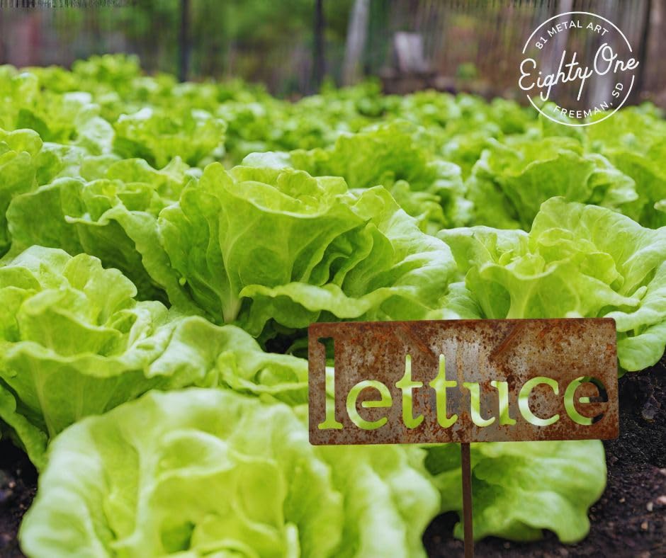 Classic Metal Garden Markers 19 Inches Tall (lettuce, Naturally Rusted)