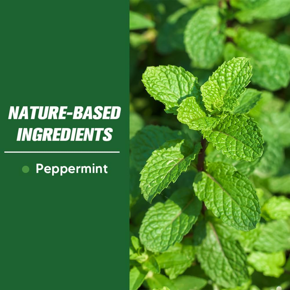 Pest Control, Mouse Repellent Pouches, Rodent Repellent, Mice Repellant Indoor, Peppermint Mice to Repel Spider, Ant, Roach & Mosquito, Rat Repellant Outdoor, Keep Mouse Out of Camper-8P