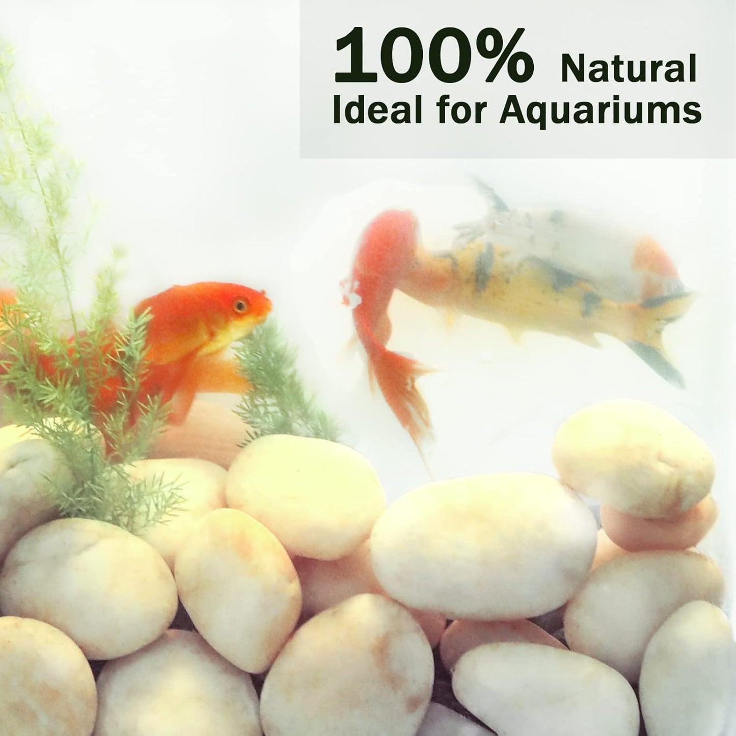 20LB Smooth Pebbles River Rocks, 100% Natural Hand-Picked Premium Decorative Pebbles, Ideal for Garden Landscaping, Home Decor, Aquariums, Painting, Crafting and Gifts, Cream White