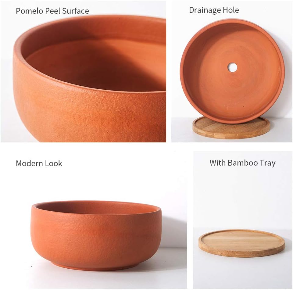 SQOWL Terracotta Planter Pot for Succulent 8 Inch Pottery Round Planter Cactus Clay Flower Pot with Drain Hole and Bamboo Tray Indoor Outdoor