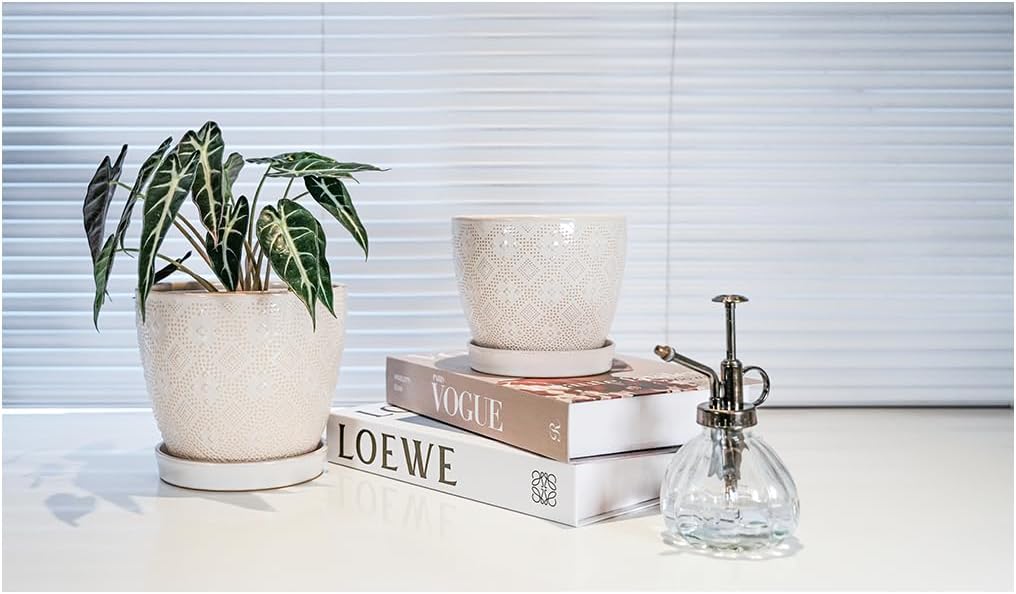 Docrin Ceramic Plant Pots Indoor, 6.6 + 5.5 Inch Planters with Drainage Holes and Saucer for Home/Office - Set of 2 /White