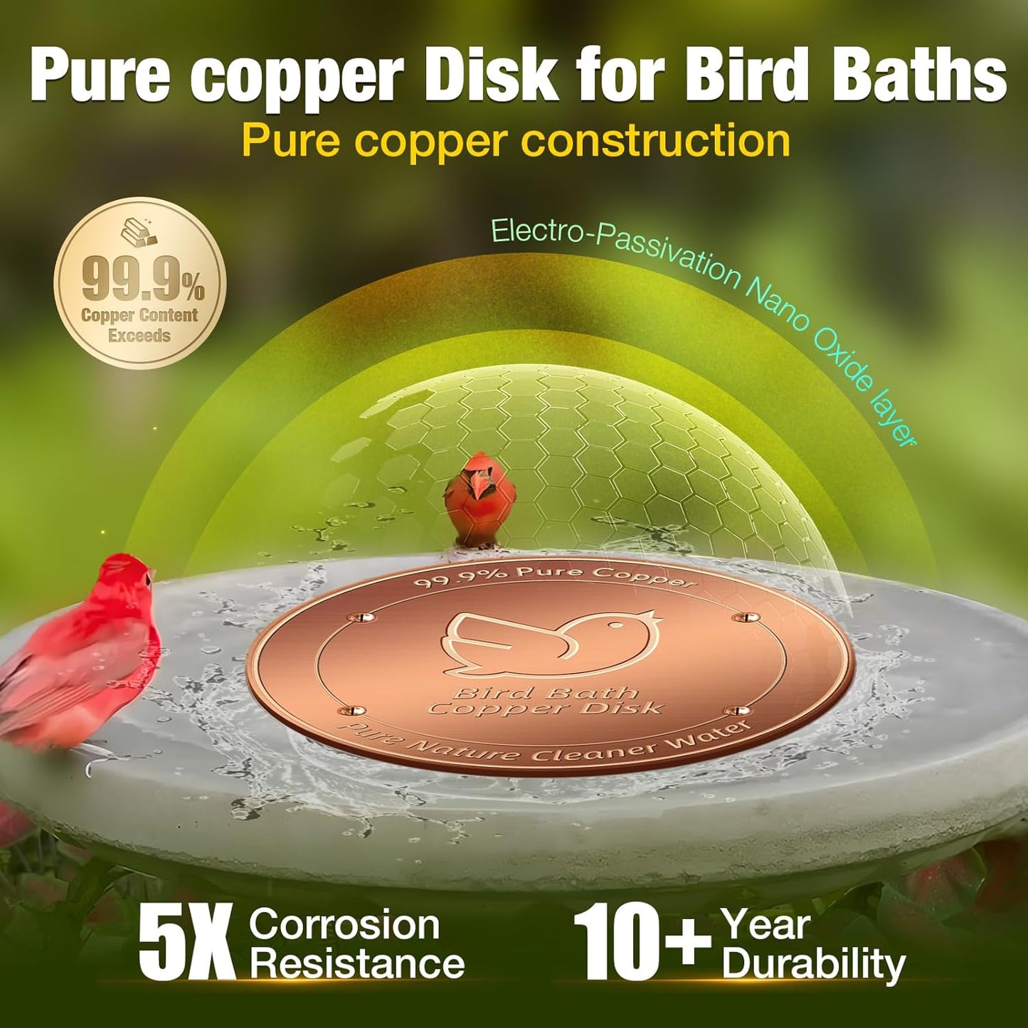 2Pack Bird Bath Copper Disk, 99.99% Pure Copper Cleaning Disc with Four-Point Support, Physical Safe Water Cleaner to Help Maintain Clearer Water for Outdoor Birdbaths & Bowls, All-Season Use