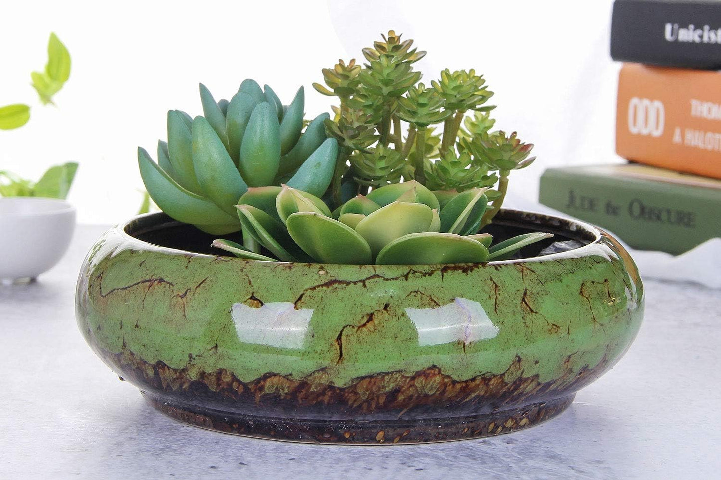 VanEnjoy 7.3 inch Round Large Shallow Succulent Ceramic Glazed Planter Pots with Drainage Hole, Bonsai Pots Garden Decorative Cactus Stand Flower Container (green)