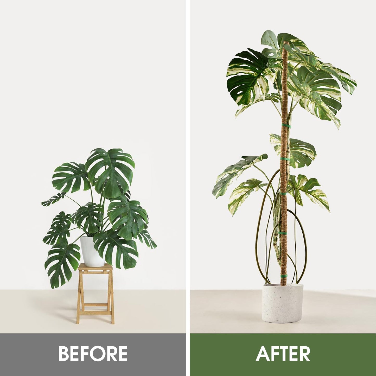 2 Pack Moss Pole, 28 Inch Bendable Moss Poles for Plants Monstera for Climbing Plants, Handmade Coco Coir Pole Plant Sticks Support Stakes for Indoor Plants Plant Grow