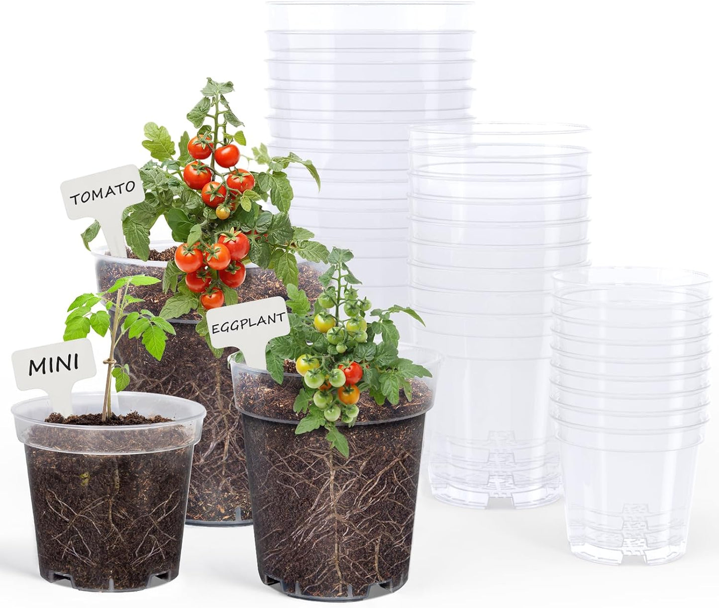 homenote Clear Nursery Pots for Plants,4/5/6.7 Inch Plant Pot for Planting Plastic Seedling Pots with Drainage Holes Seed Starter Pot Flower Pots High Transparency with 20 Plant Labels (30 Pack)