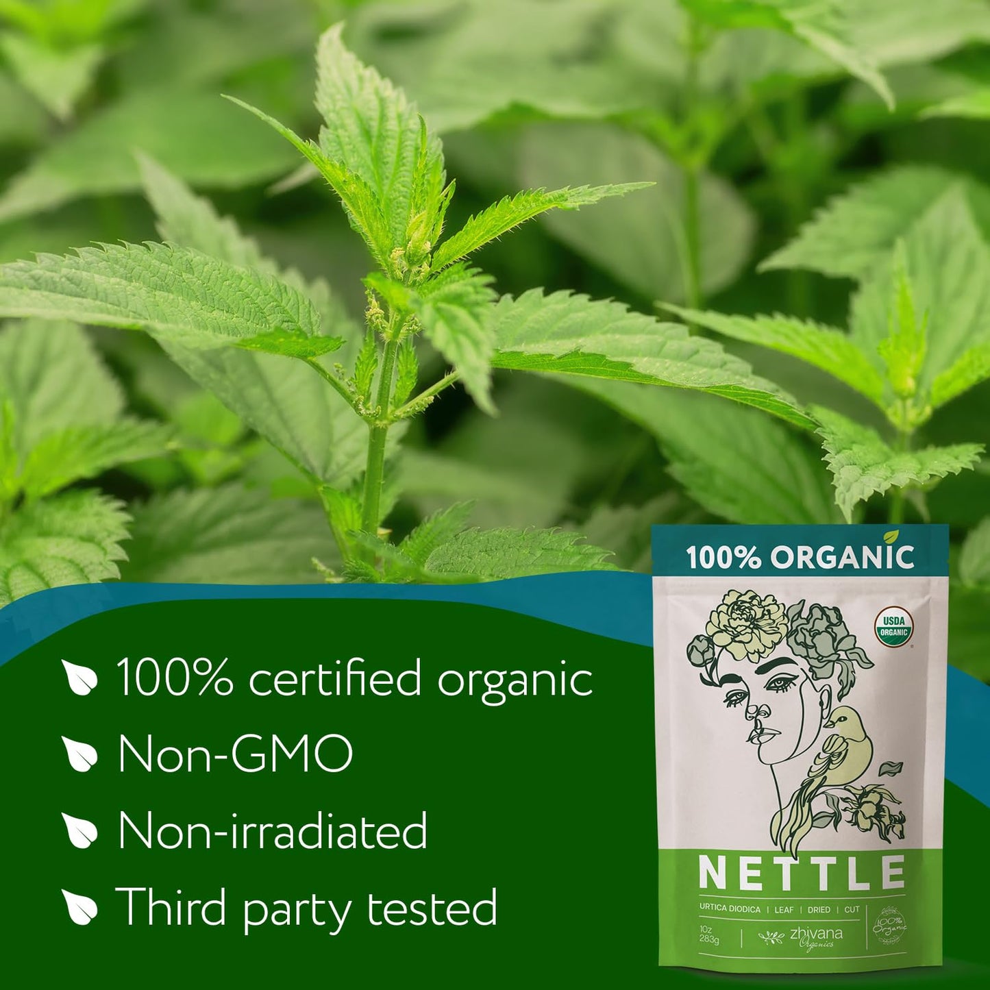 Stinging Nettle Tea Organic Loose Leaf - Dried Nettles Herb, Ortiga Tea – Cleanse Body, Remove Toxins, Easy Allergy – 8 oz