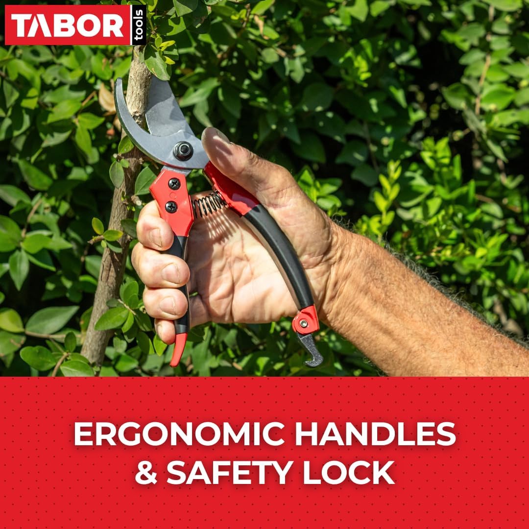 TABOR TOOLS S821A Bypass Pruning Shears, Makes Clean Cuts, Great for S-M Size Hands. Professional Sharp Secateurs, Hand Pruner, Garden Shears, Clippers for The Garden.