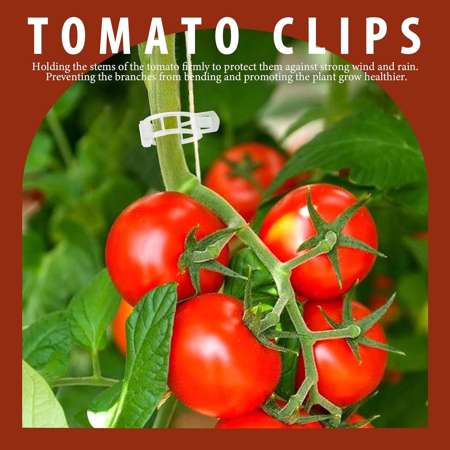 FANDAMEI 300 PCS Plant Support Clips, Plastic Garden Plant Ties, Tomato Clips Trellis for Tomato Cucumber Flower Squash Vine, 1” Inner Diameter for Climbing Plants