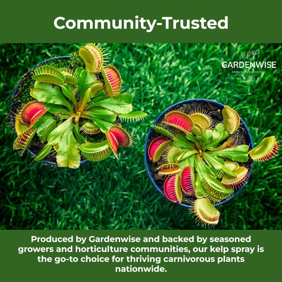 100% Organic Marina Mist Carnivorous Plant Food | Liquid Kelp Foliar Spray for Plants - Kelp Fertilizer for Venus Flytraps, Sundew, Butterworts, Pitcher Plants 8 Oz