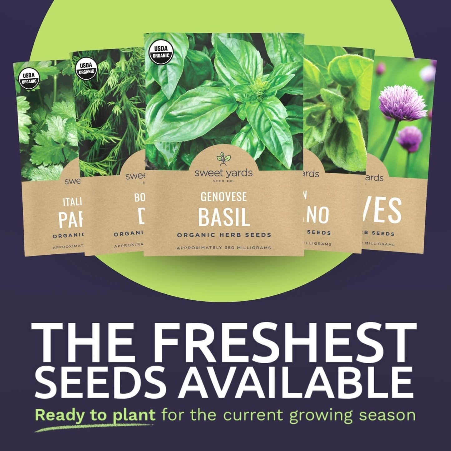 Organic Herb Seeds Variety Pack - 16 Individual Packs - 2025 Season - Basil, Cilantro, Dill, Thyme, Parsley and More! for Indoor & Outdoor Planting (Non-GMO, Certified Organic)
