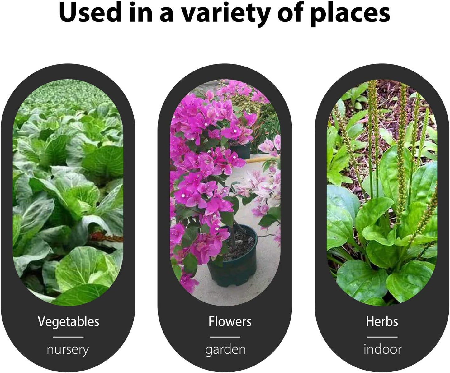 Green Plant labels,100 Pcs 6 x10cm Plastic Plant T-Type Tags Nursery Garden Labels