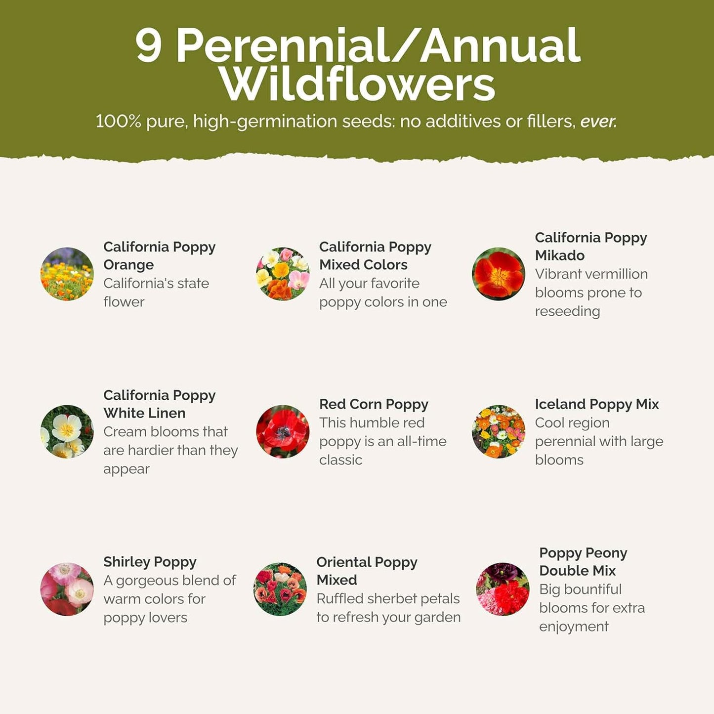 Eden Brothers Poppy Power Flower Mixed Seeds for Planting, 1/4 lb, 120,000+ Seeds with Red Corn, Iceland, California Poppy, Attracts Pollinators, Plant in Spring or Fall, Zones 3, 4, 5, 6, 7, 8, 9, 10