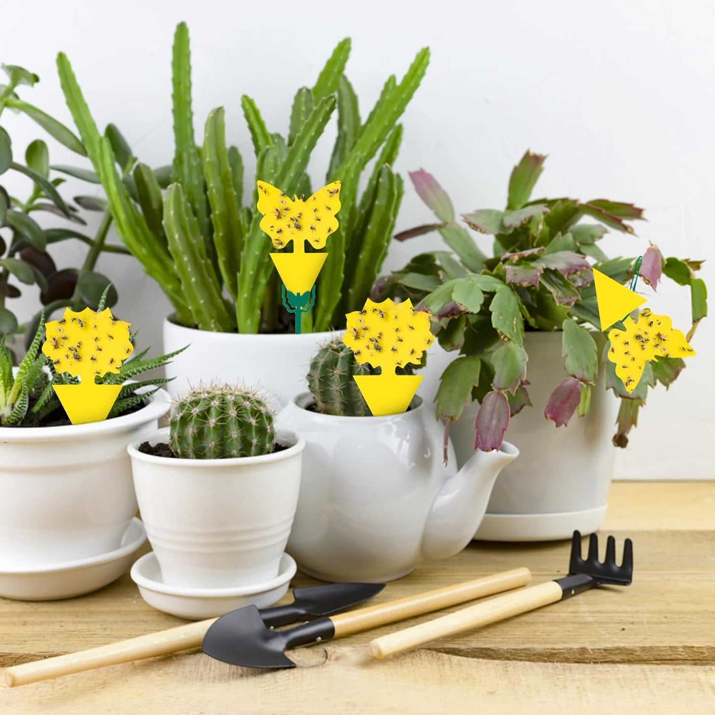 60 Pack Fruit Fly Trap, Fungus Gnat Trap Killer Protect Plants Indoor Outdoor, Double Sided Yellow Bug Sticky Traps for Fungus Gnat, Fruit Fly and Other Insects