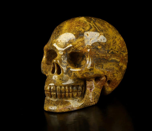 Skullis 2.0” Ocean Jasper Crystal Skull, Hand Carved Gemstone Fine Art Sculpture, Reiki Healing Stone Statue.1410