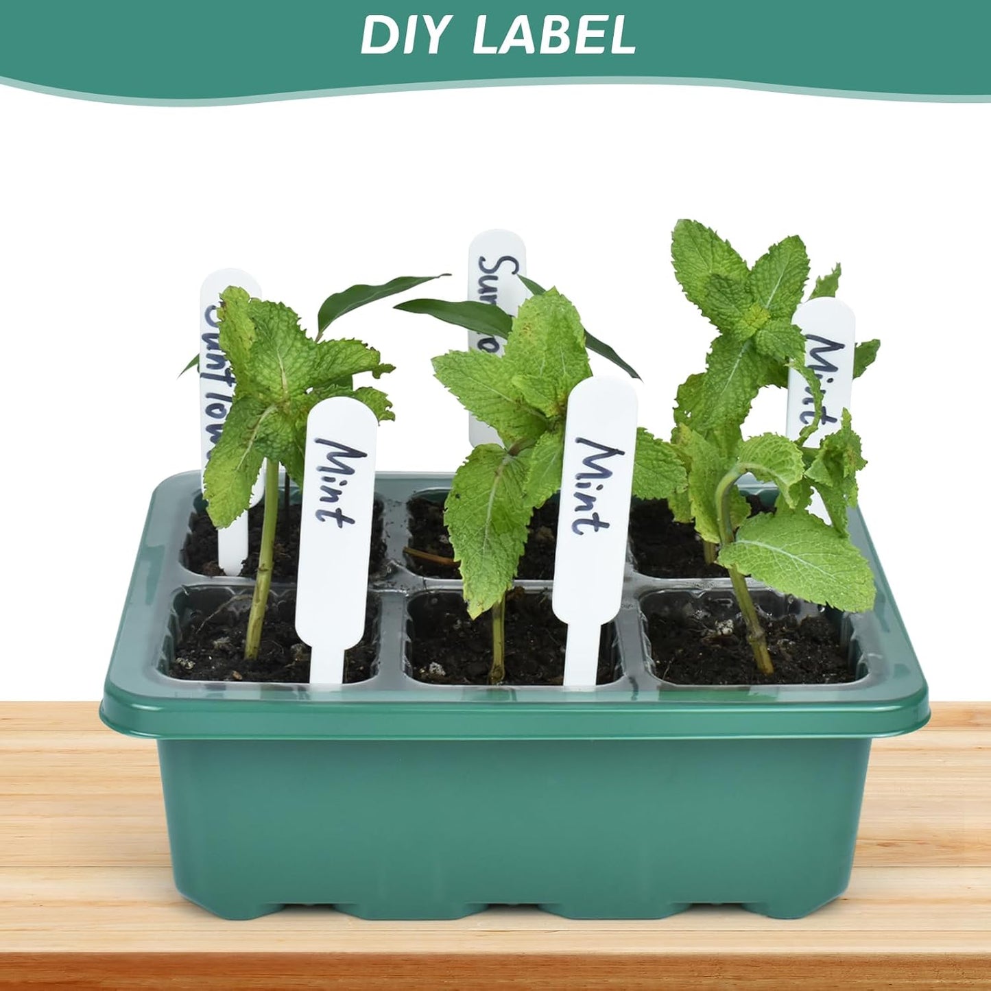 Artcome 10-Pack Seed Starter Tray - 6 Cells Each with Push-Up Ejector - Seed Starter Kit for Rapid Growth and Healthy Seedlings at Home - 30 Cells in Total