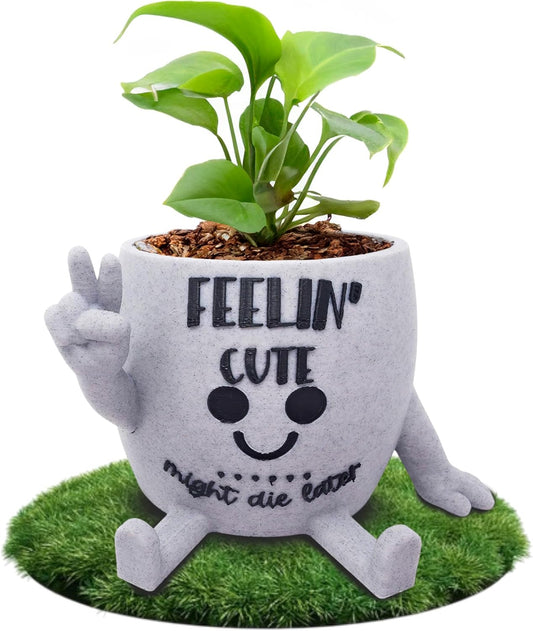 Funny Face Indoor Head Planter Pot, 3D Printed, Unique Small Succulent Flower Pot, Cute Cactus Planter, Indoor Home Decor, Office Desk Plant Pot, Novelty Gardening Gift Set