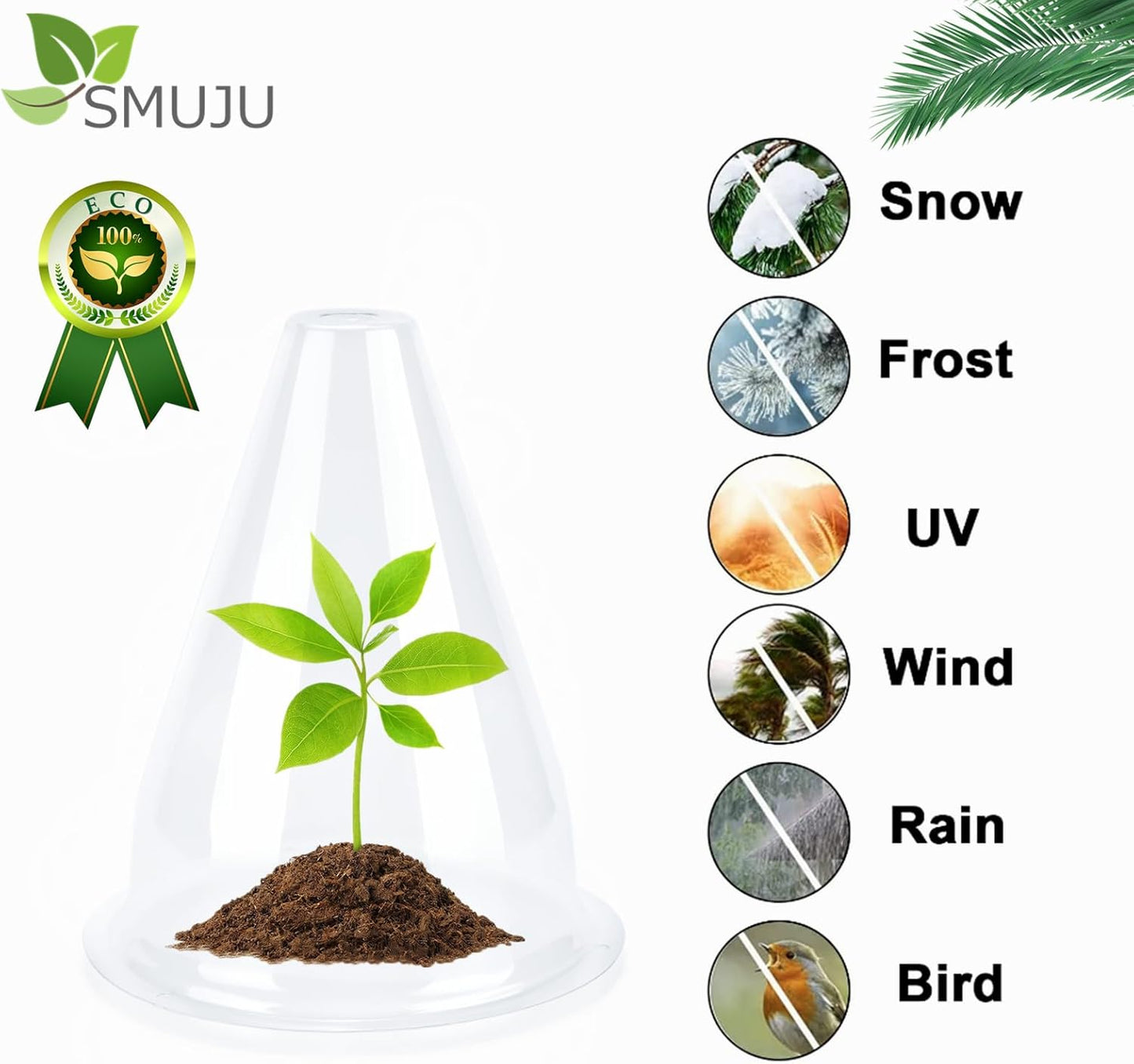 【36 Pieces】 Garden Cloches for Plants, Plant Cover Plant Protectors Transparent Bell Jar Cloche Protection Plants from Birds, Animals, Frost, Freeze Weather,7.8" D x 9.4" H, Transparent