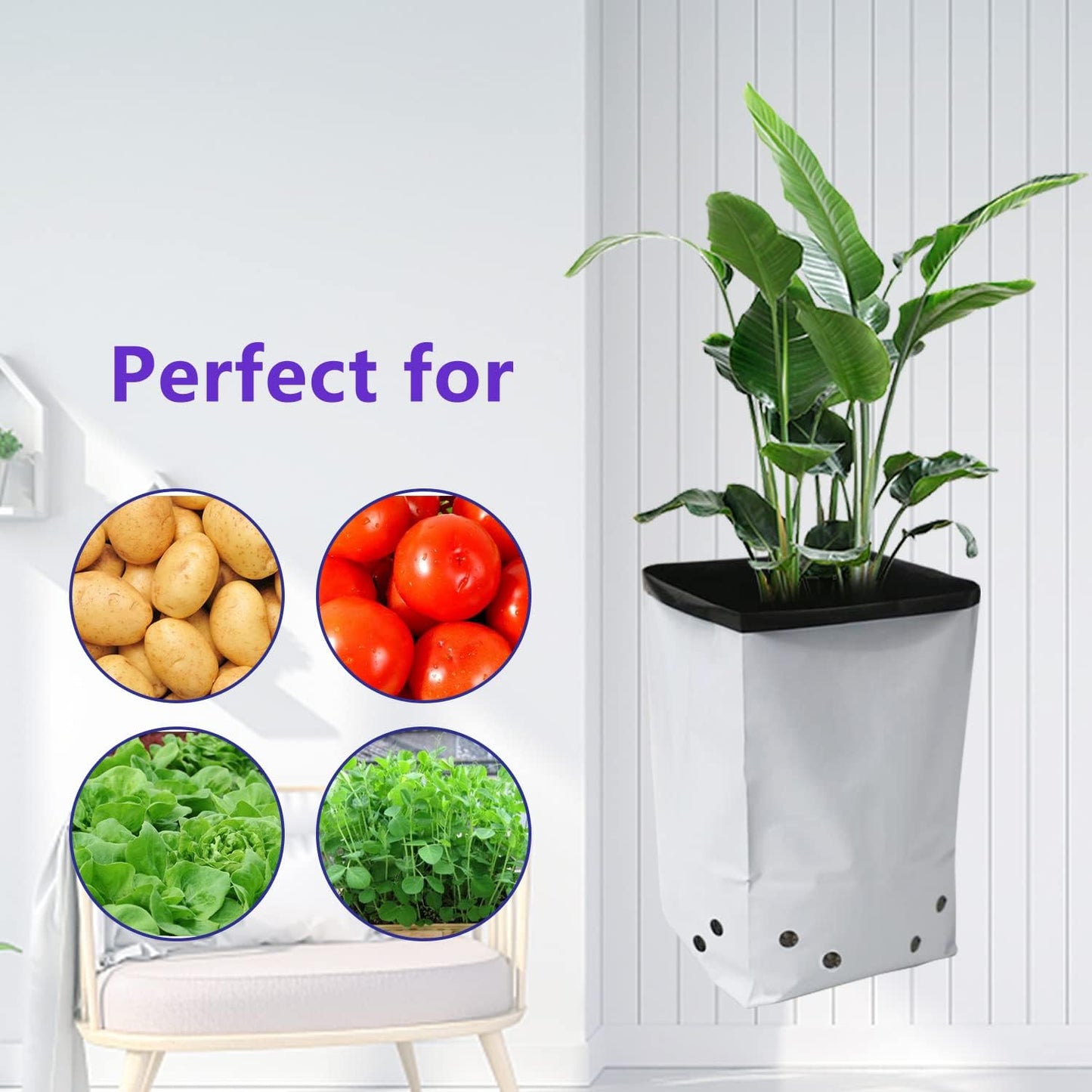HFS(R Poly Grow Bag Planters Panda Film Black and White for Nursery Horticulture 1 Gallon - 50 PC
