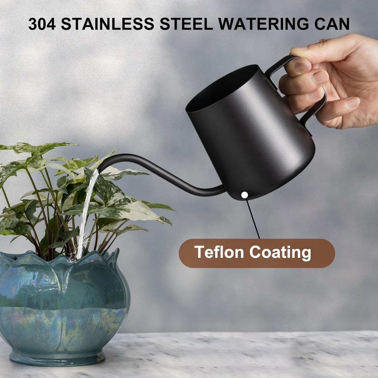 12 oz / 350 ml Watering Can Indoor Plants, Stainless Steel Plant Watering Can with Long Spout (Black) (12oz)