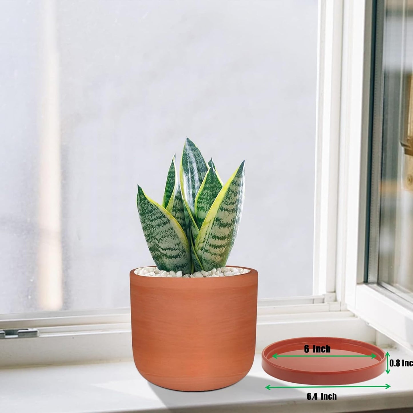 2 Pack Ceramic Plant Saucer Pot Tray 6 Inch Terracotta, Planter Saucers 6 7 8 9 10 11 12 15 Inch, Durable Sturdy Flower Drainage drip Water Tray for Glazed Pots Base (6.4 Inch- Red Terracotta)