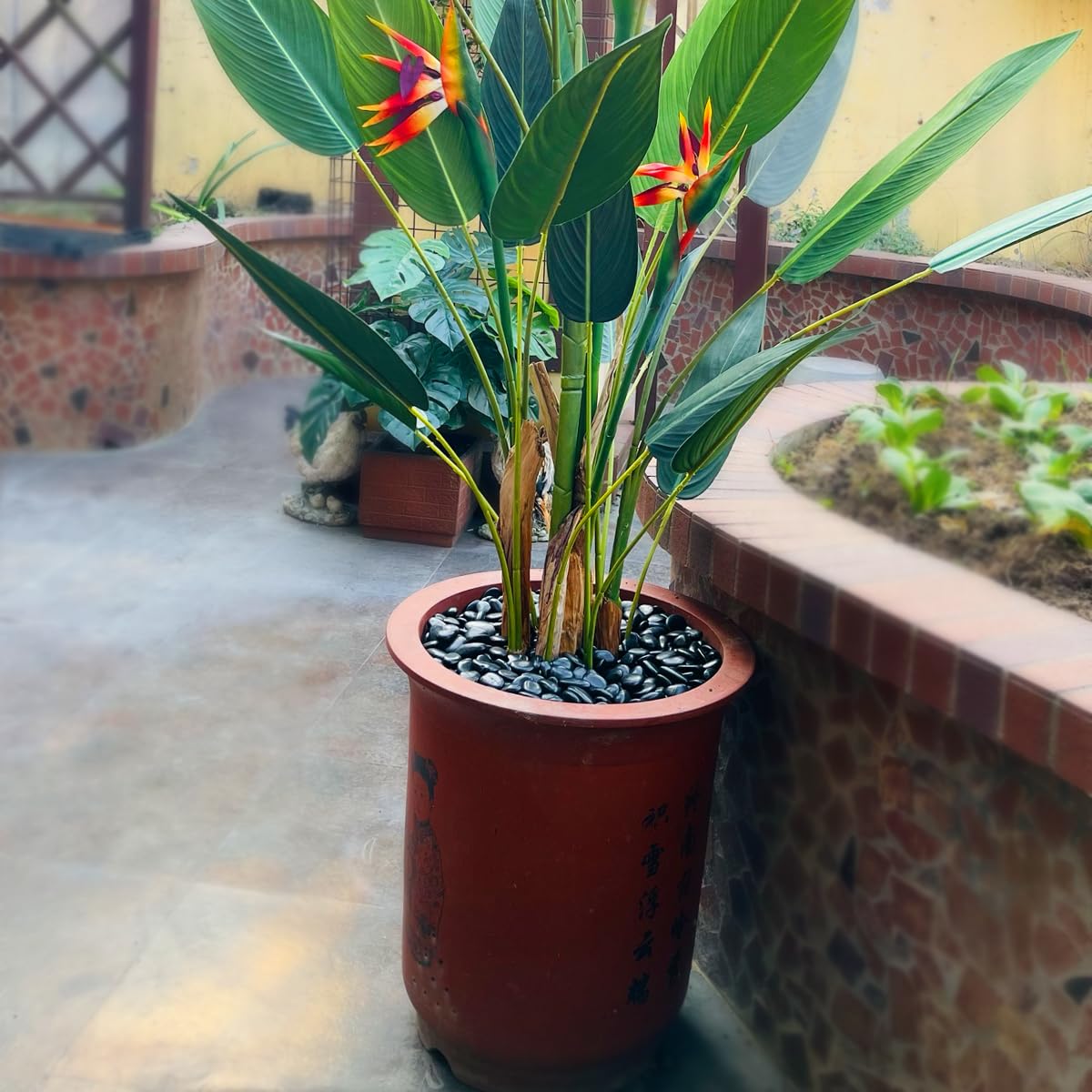 10LB Succulent and Cactus Black Pebbles, 3/8 Inch Natural Decorative Polished Stones, River Rocks for Indoor Plants, Vases, Planters and Outdoor Gardening