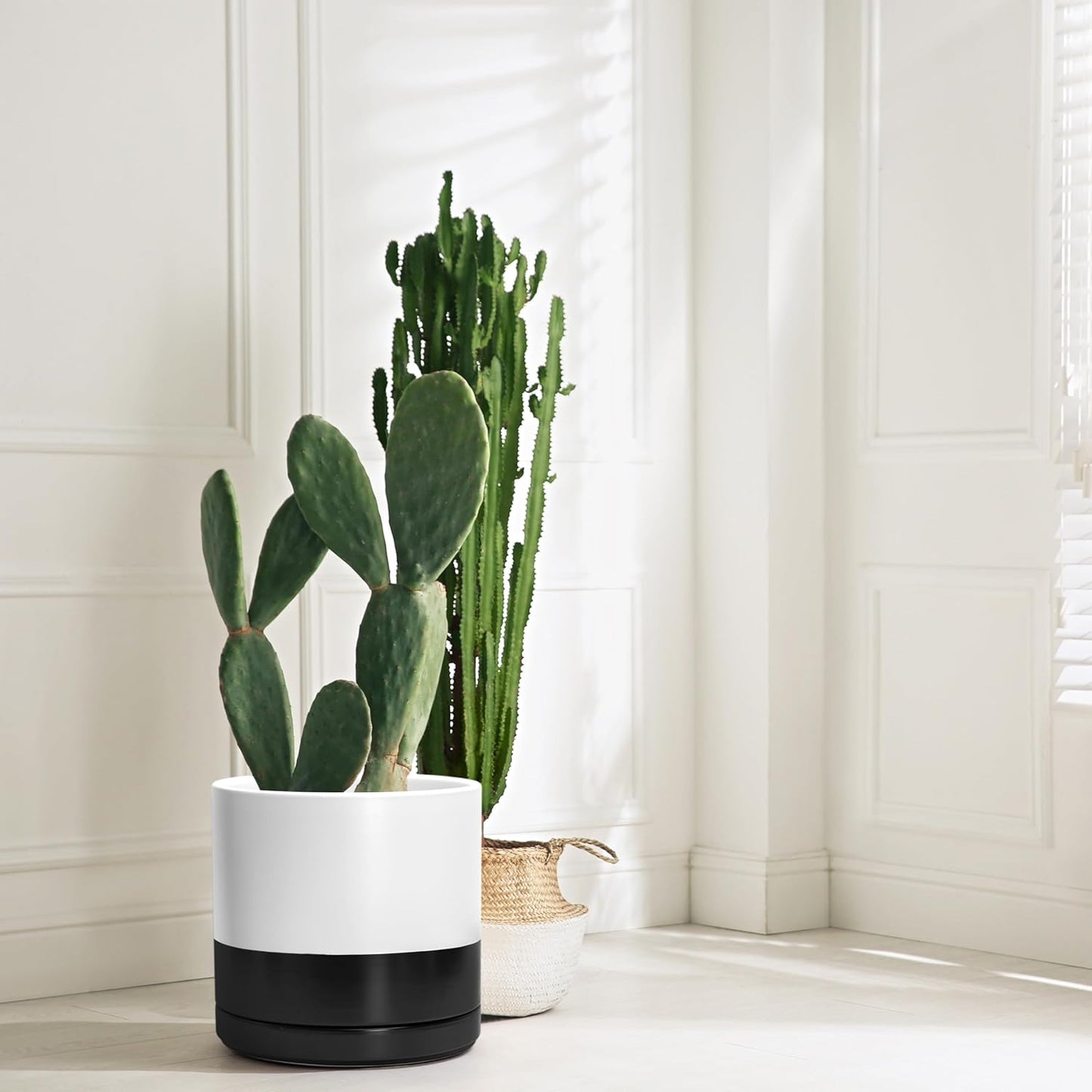 D'vine Dev 12 Inch Ceramic Planter Pot with Drainage Hole and Saucer, Indoor Cylinder Round Planter Pot, Layered Monochrome Black & White, 94-O-F-L