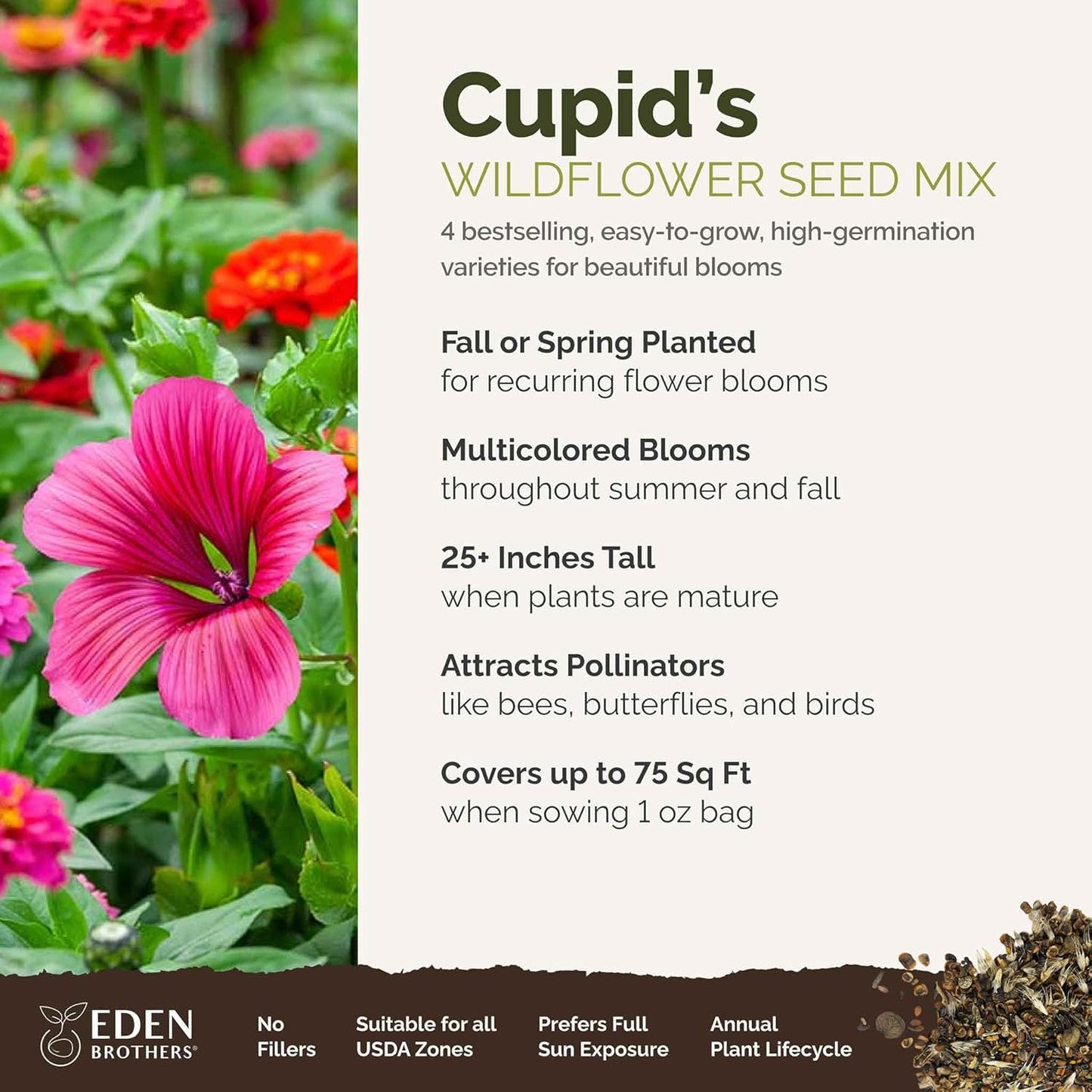 Eden Brothers Cupid's Flower Seed Mixed Seeds for Planting, 1 oz, 4,800,000+ Seeds with Malop Vulcan, Zinnia | Attracts Pollinators, Plant in Spring, Zones 2, 3, 4, 5, 6, 7, 8, 9, 10