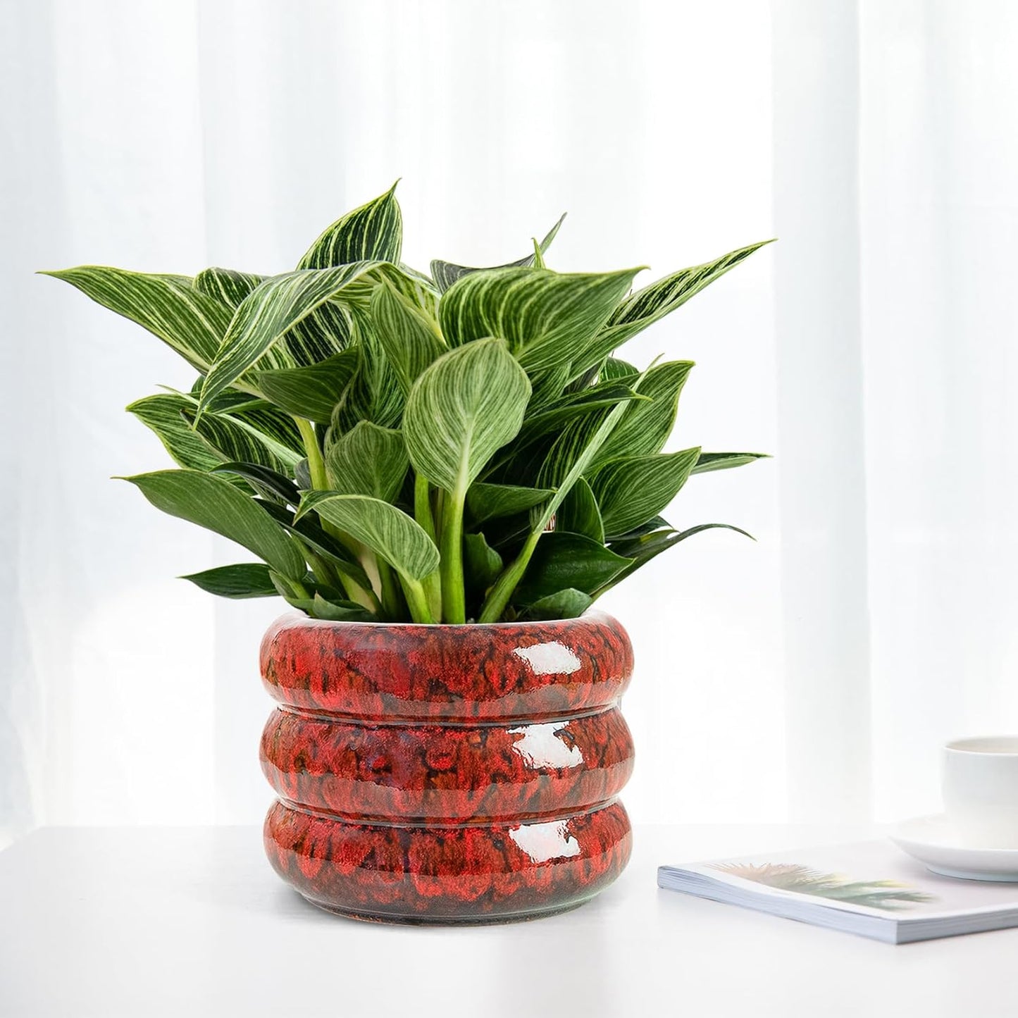 Ceramic 6 inch Plant Pot - Planter for Indoor Plants with Drainage Hole, Flower Pots for Orchid, Succulent,Outdoor Plants, Modern Glaze Planters for Home Office Decor Gift