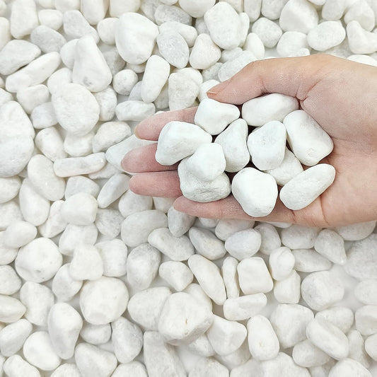 5 lbs White Pebbles for Indoor Plants, 0.5-1 Inch Pea Gravel Stones for Planters, Decorative River Rocks for Succulent, Cactus, Vases, Aquariums, Crafting and Garden Landscaping