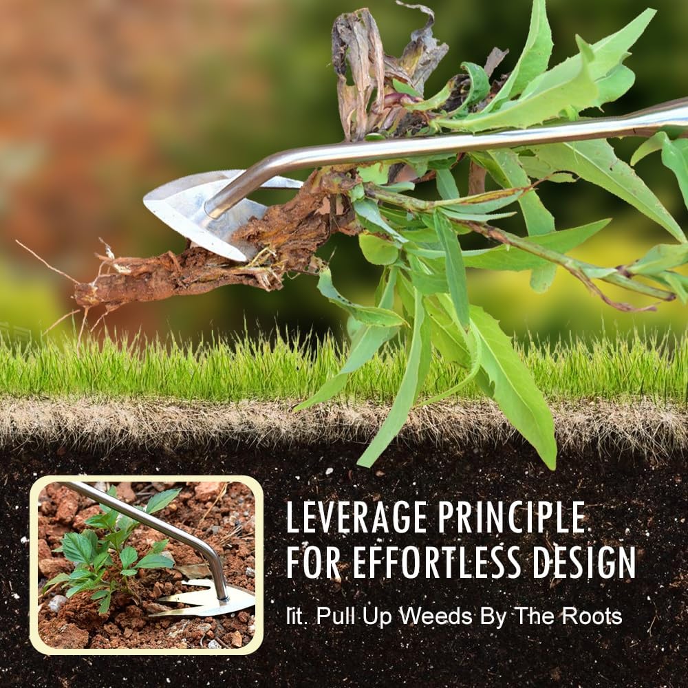 Manual Weed Remover Tool for Lawn and Garden, 2025 New Weeding Artifact Uprooting Weeding Tool,Weed Puller Tool 3 Tooth Manganese Steel for Gardening Backyard Farm (13in)