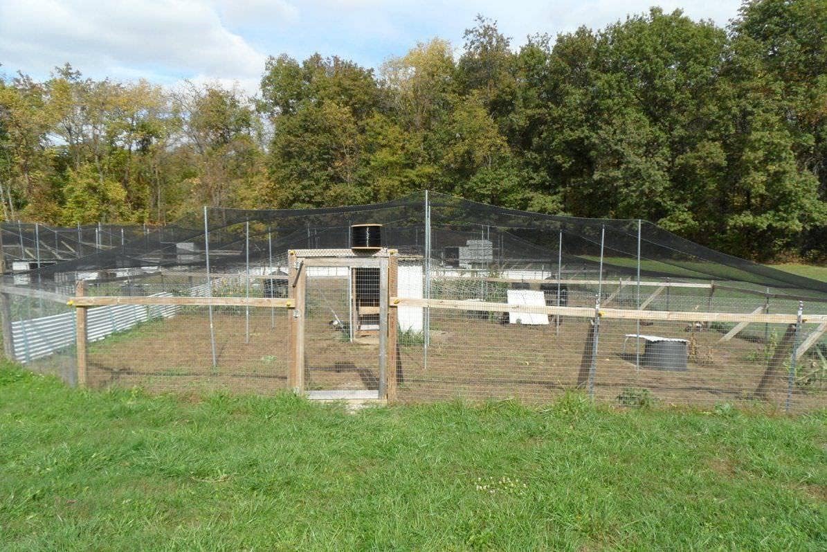 Poultry Netting 1" or 2" Mesh Heavy Knotted Nets Aviary Gamefowl Quail Chicken Bird Block Net Long Lasting Break/Burst 85/245 lb Polyethylene 8-10 Year Lifespan (12.5' X 100', 1)