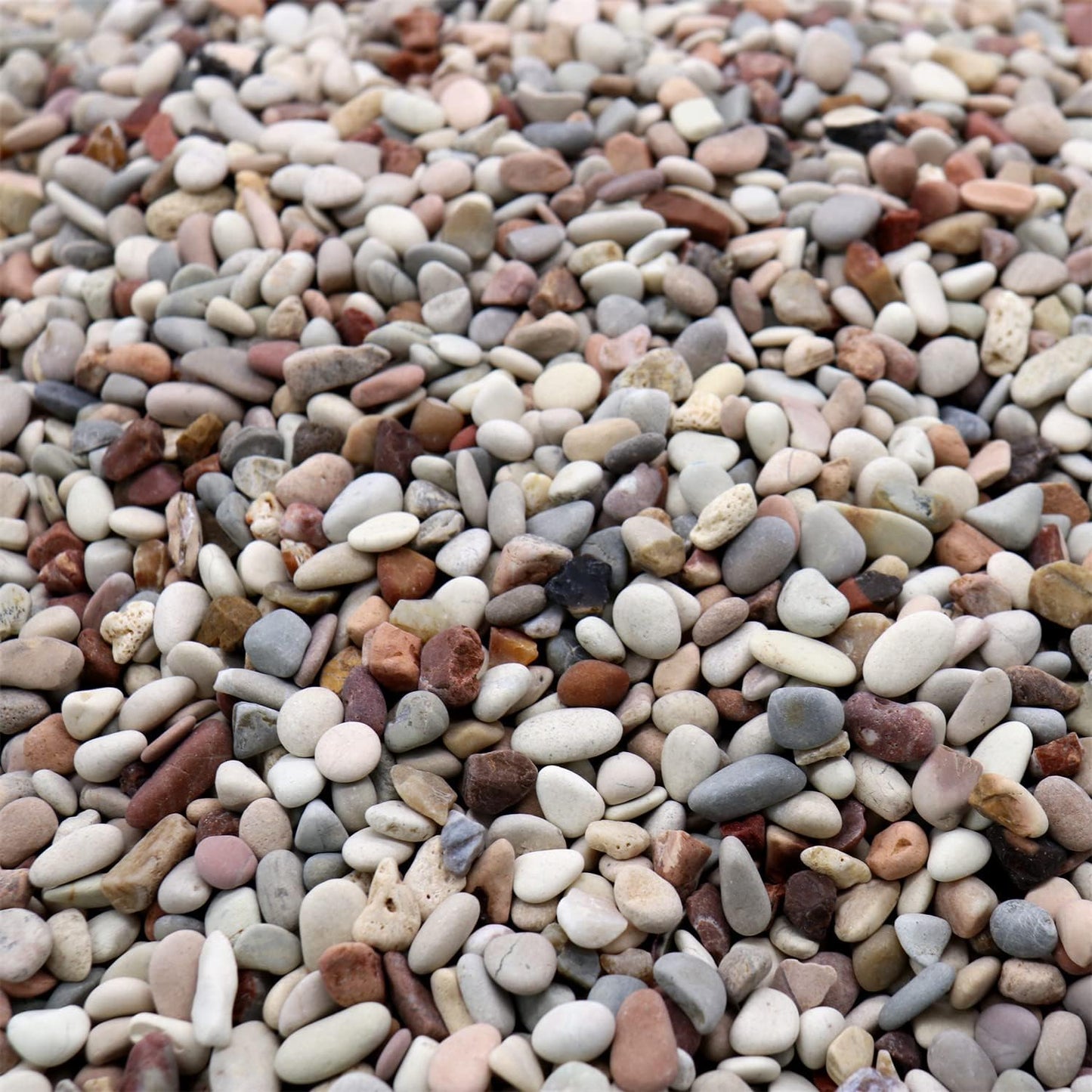 Rocks for Plants. Earth Color Decorative Pebbles. 1/5 Inch – 10 lbs for Garden, Vase fillers, Crafting, Succulents, pots, Plants (Mini (0.2 Inch), Mixed Color - Earth Tones, 10)