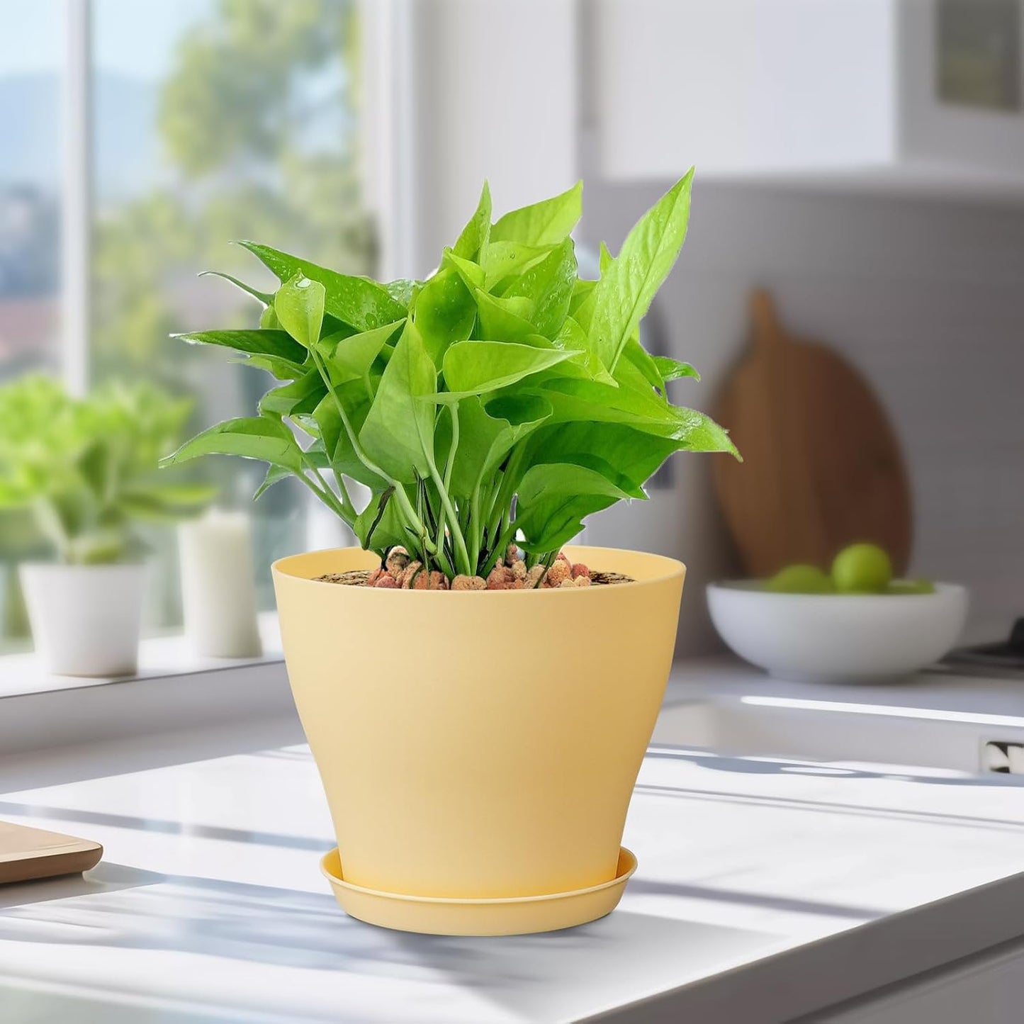 6 inch Plastic Nursery Pots, 16 Pack Plant Pots for Small Indoor Outdoor Plants, Flower Pots with Drainage Holes and Saucers, Decorative Seedling Starter Planters for House Plants, Colorful