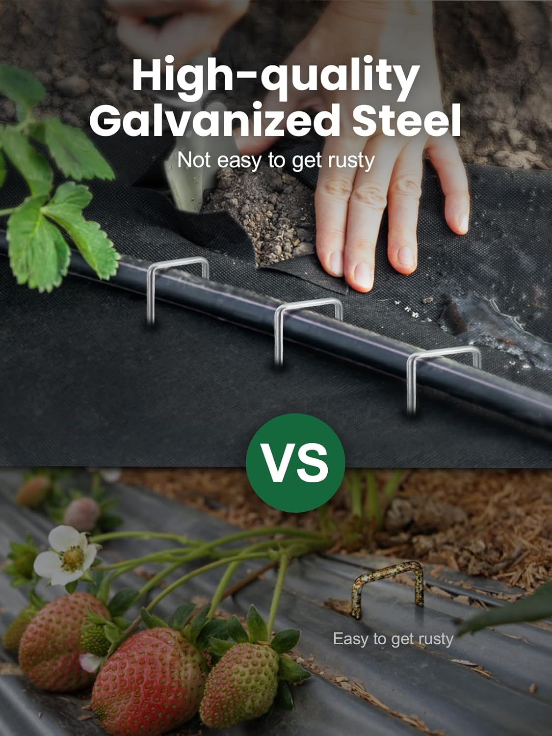 GROWNEER Landscape Staples Anti-Rust, 6 inch 360pcs Galvanized Garden Staples, Tent Stakes SOD Pins Yard Stakes for Securing Weed Fabric Barrier, Ground Cover, Artificial Turf, Dog Fence