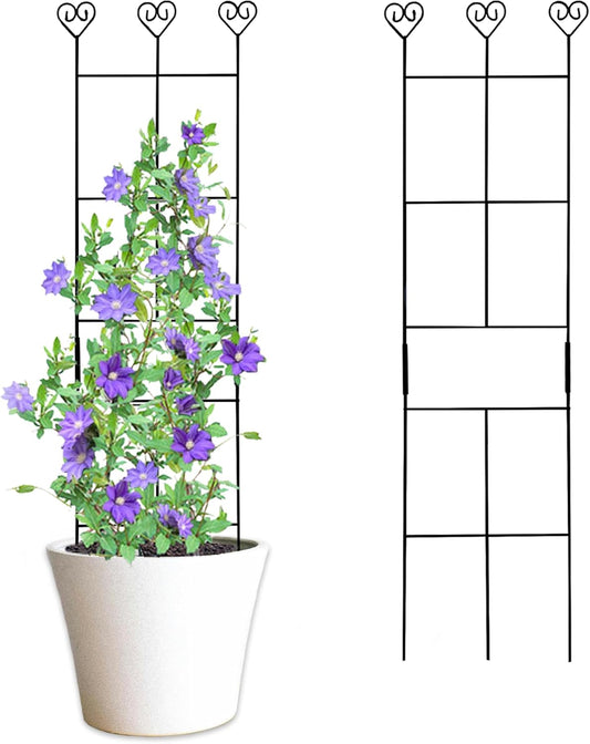 2 Pack 30'' Plant Trellis for Climbing Plants Indoors, Metal Garden Trellis for Potted Houseplant, Rustproof Plant Support for Ivy, Vines, Pothos, Hoya and Flower, Black