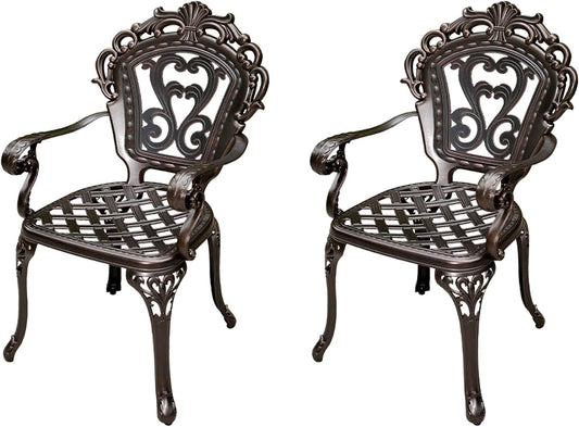Outdoor Dining Chair Cast Aluminum Patio Chairs Set of 2 All-Weather Patio Dining Chair with Adjustable Feet for Backyard Garden (Alicia Chair)
