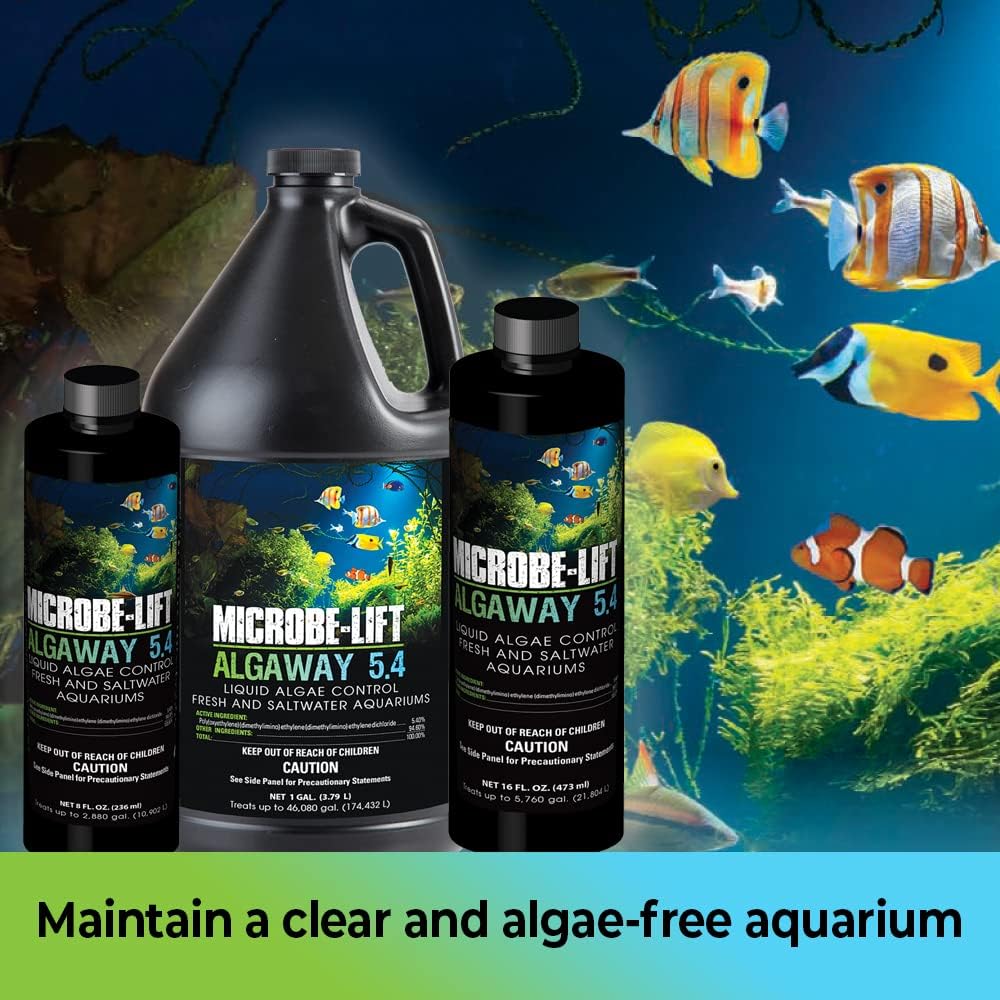 MICROBE-LIFT ALGAA08 ALGAWAY 5.4 Algae Control for Fresh and Salt Water Home Aquariums, 8 Ounces