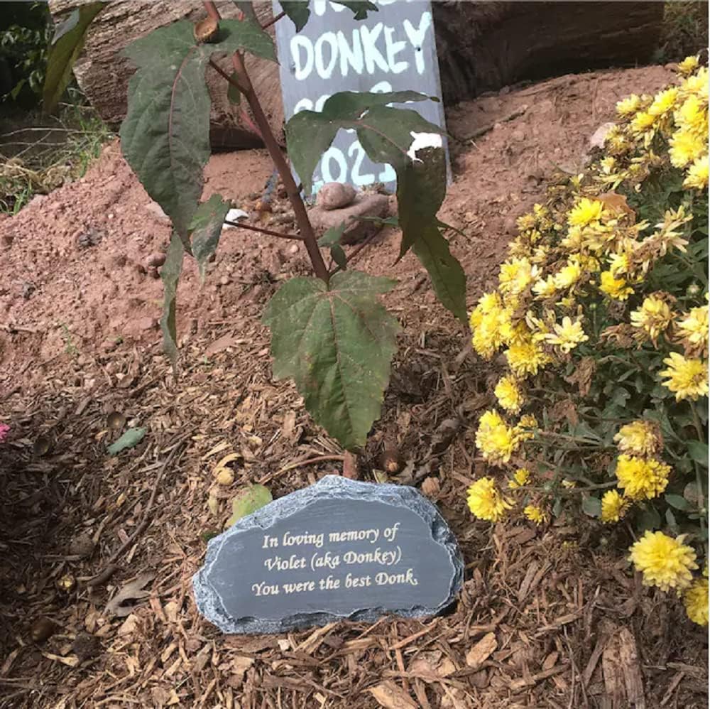 Personalized Garden Stones Engraved with Any Message, larser Engraved Garden Memorial Stones Outdoor Decorative Rocks, 8"X4.5"X2.5"